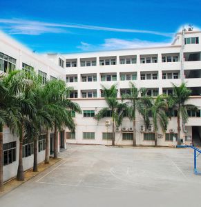 公司風(fēng)采
